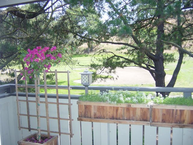 walnut creek condo view