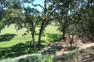 Rossmoor coop and condo golf homes