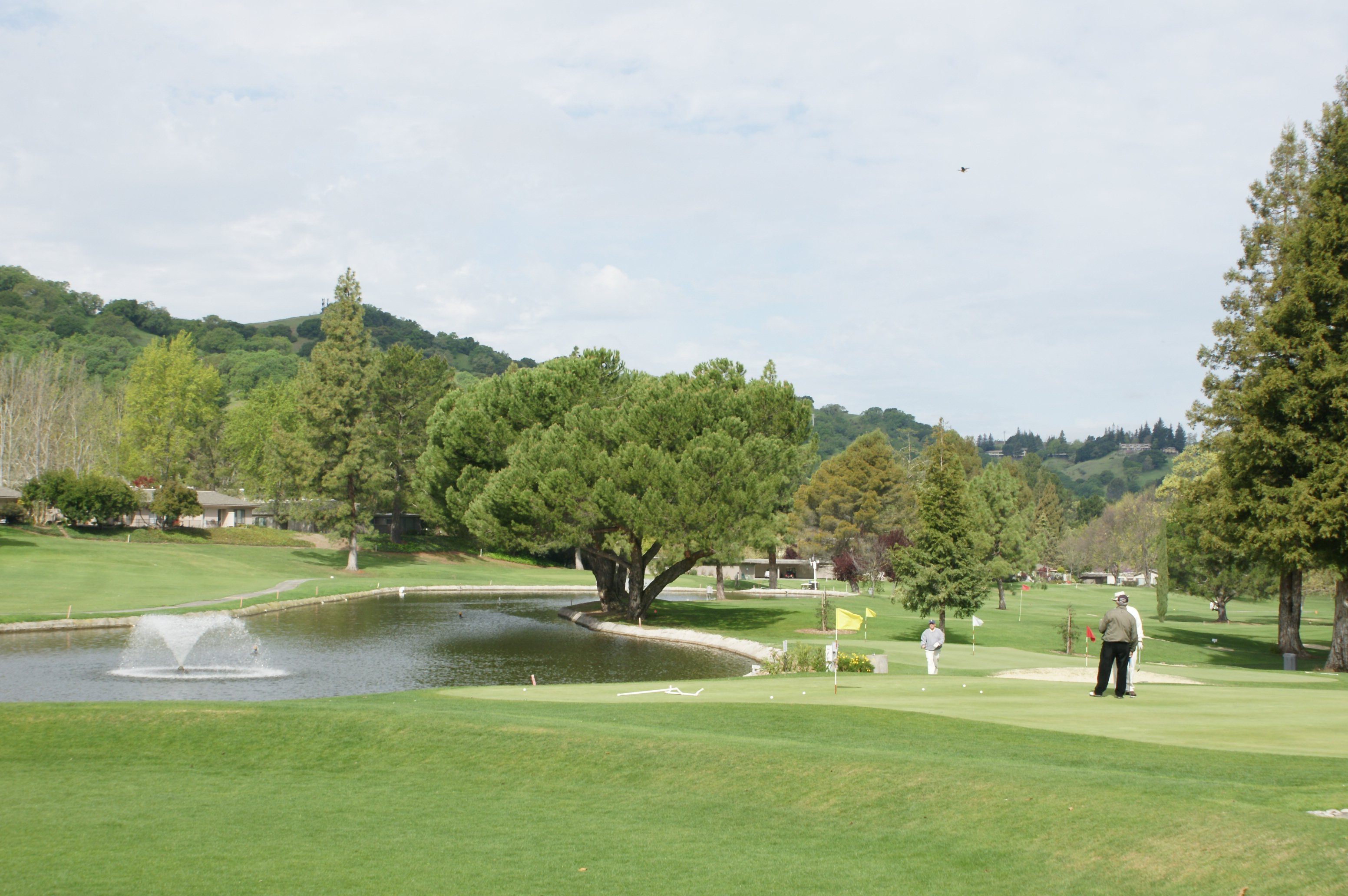 Rossmoor Open House BLITZ 1/24 The East Bay's Home Searcher