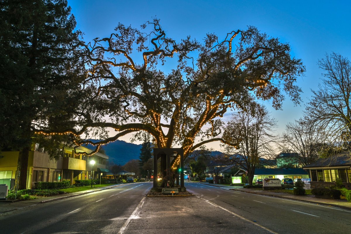 Danville-CA-homes-for-sale Danville CA Homes for sale
